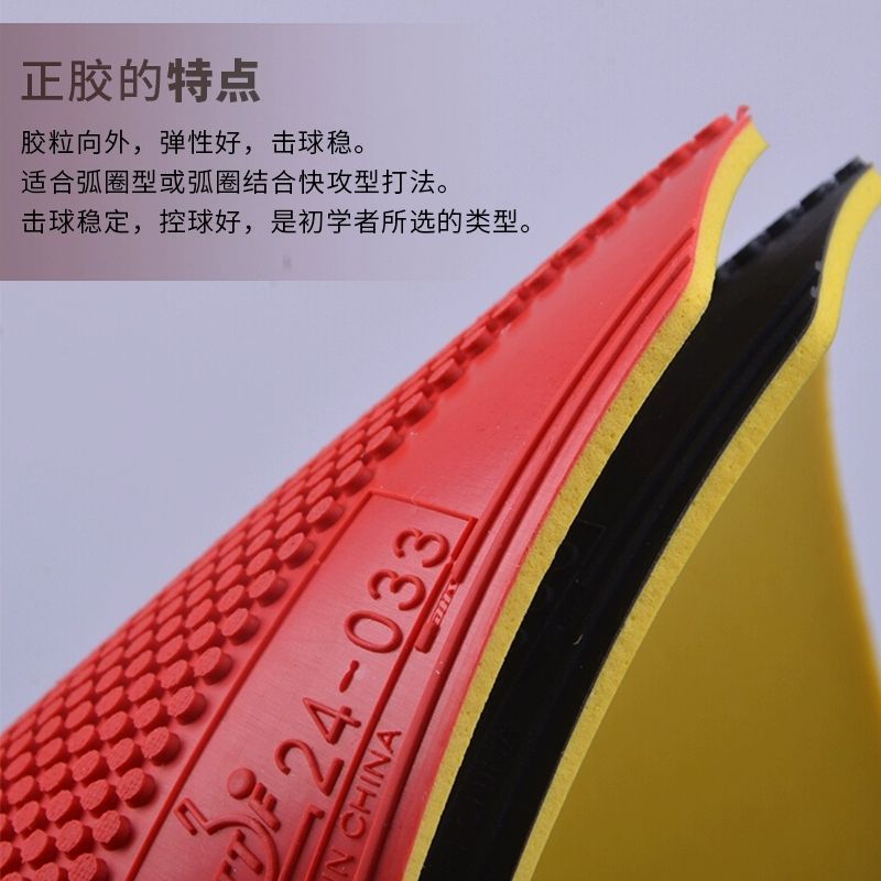 ยางปิงปอง DHS Dragon Shadow แบ - Table Tennis Association บทวิจารณ์และราคา
